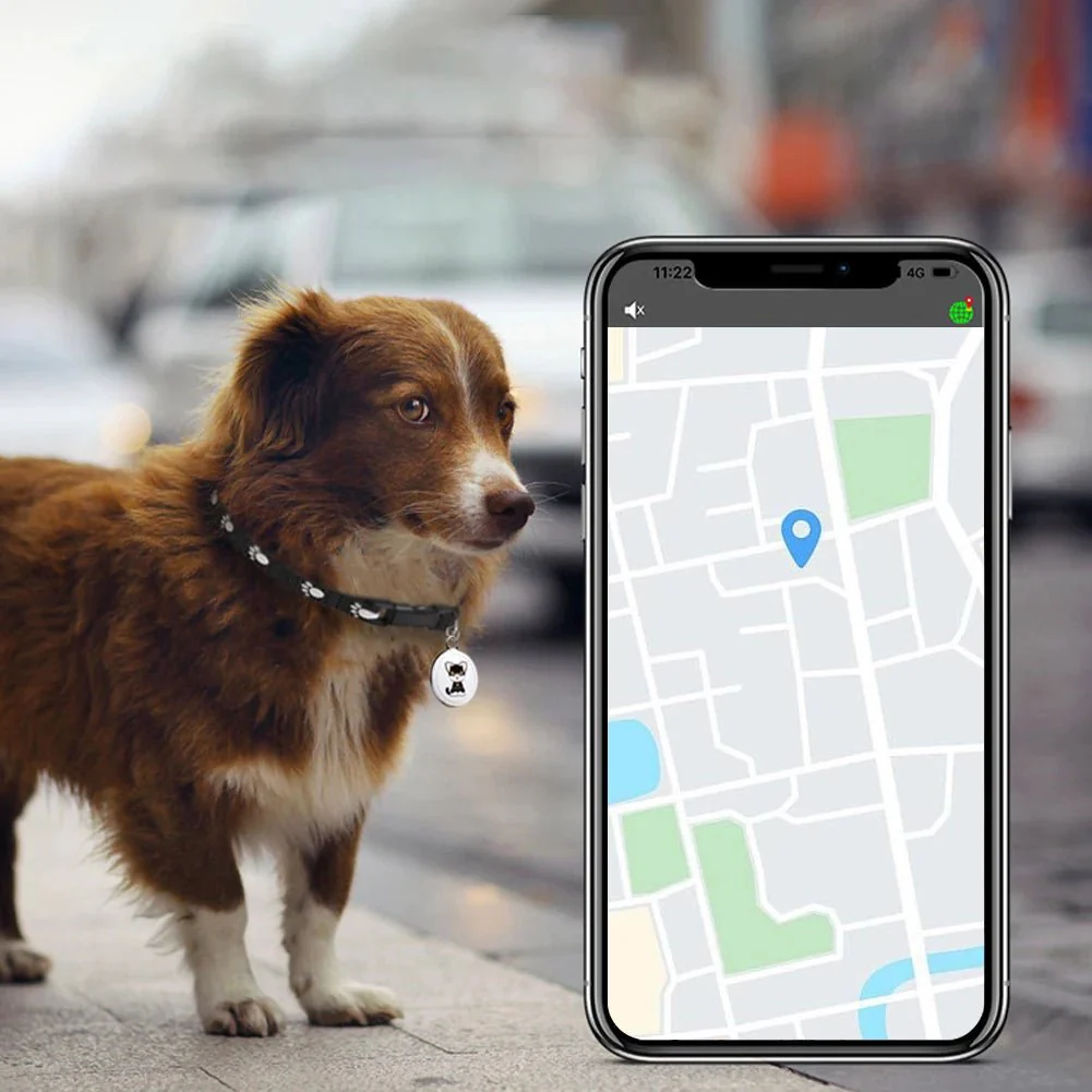 Traceur pour chat GPS – Image 5
